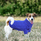 Queenmore Small Dog Pullover Sweater, Cold Weather Cable Knitwear, Classic Turtleneck Thick Warm Clothes for Chihuahua, Bulldog, Dachshund, Pug (Royal Blue, Medium)