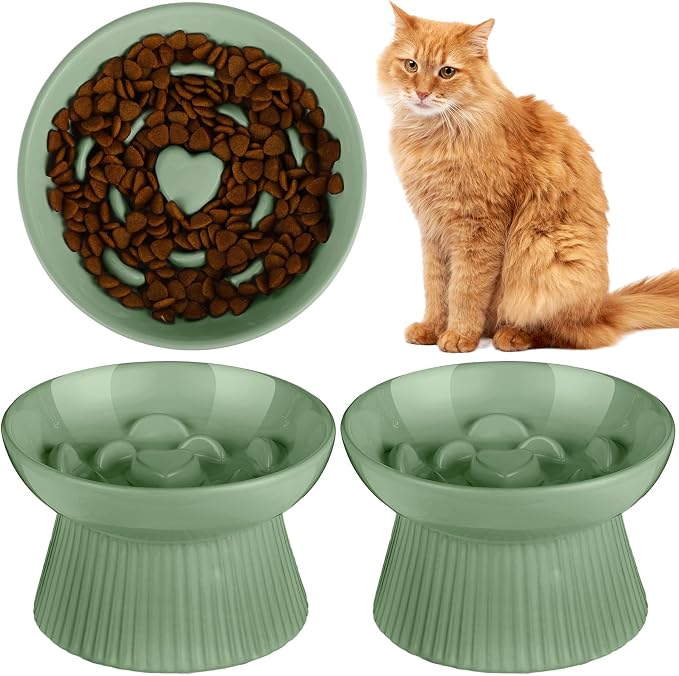 Tioncy 1 Pcs Ceramic Elevated Slow Feeder Cat Bowl, Raised Cat Slow Feeder Bowl, Anti Vomiting for Dry and Wet Food, No Spill High Edge Easy Clean Dishwasher Safe (Sage Green)