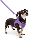 rabbitgoo Dog Harness Small Sized and Leash Set, Step-in Puppy Pet Vest | Light, Soft, Breathable Air Mesh, Easy on and Remove with Hook & Loop, Secure Reflective for Walking, Purple XXXS