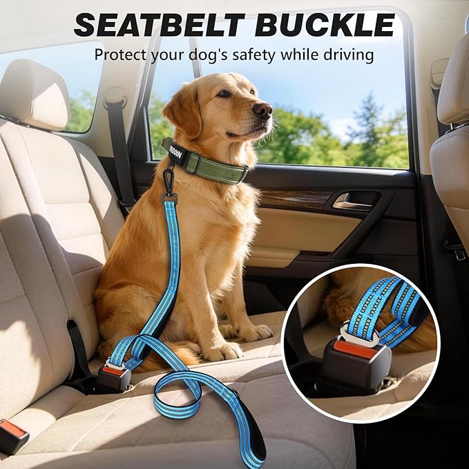 Double Handle Dog Leash with Poop Bag Holder and Car Seat Belt Buckle | Heavy Duty | Double Handle | with Poop Bag Holder | with Car Seat Belt Buckle | Reflective | Lightweight