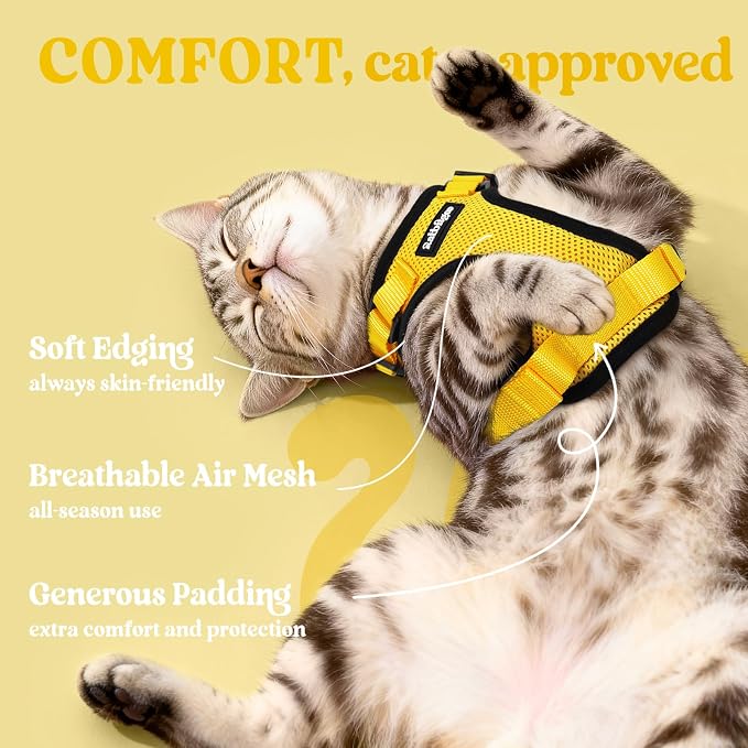 rabbitgoo Cat Harness and Leash Set, Escape Proof Vest, Yellow | Soft Breathable Mesh, Easy Adjustable Fit, Snap Buckles, Sturdy Clip, Reflective Strips, for Average Cats Walks, S