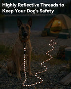 Joytale Long Dog Leash for Yard Tie Out & Recall Training, Orange, 30FT | Secure Locking Carabiner, Removable Padded Handle, Reflective Webbing for Night Safety, Ideal for Outdoor Play and Camping