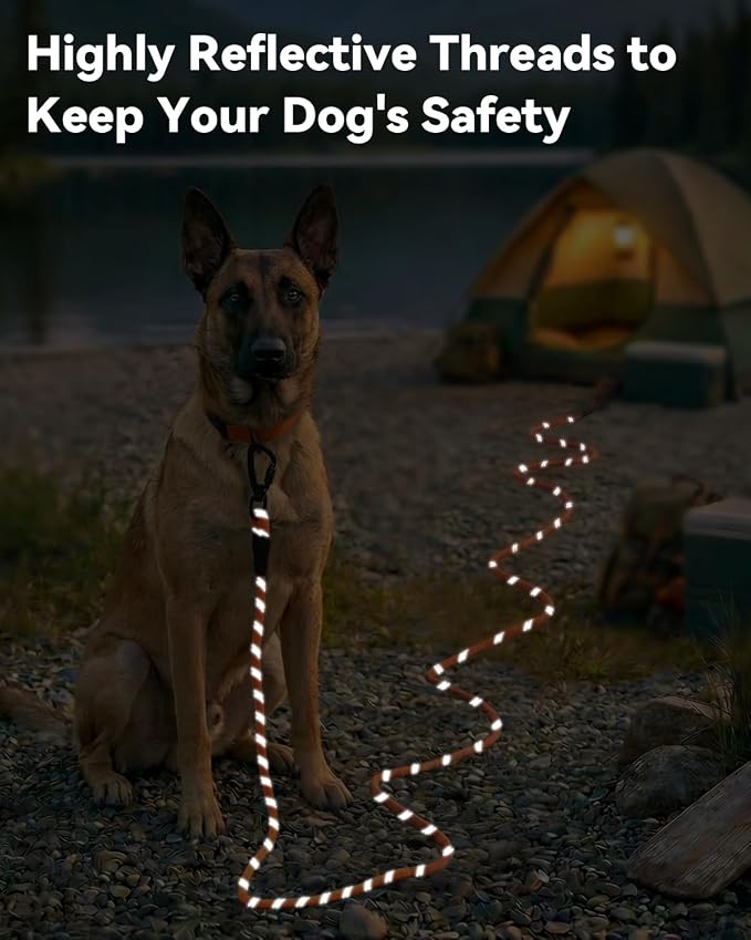 Joytale Long Dog Leash for Yard Tie Out & Recall Training, Orange, 65FT | Secure Locking Carabiner, Removable Padded Handle, Reflective Webbing for Night Safety, Ideal for Outdoor Play and Camping