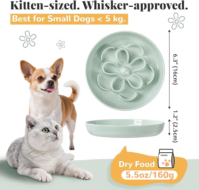 Melamine Cat Slow Feeder Bowl - Floral Maze Cat Food Dish - Flat Plate for Dry & Wet Food - Cute Kitten Bowl - Dishwasher Safe - 6.3'' W x 1'' H - 5.5 oz (160g) - White