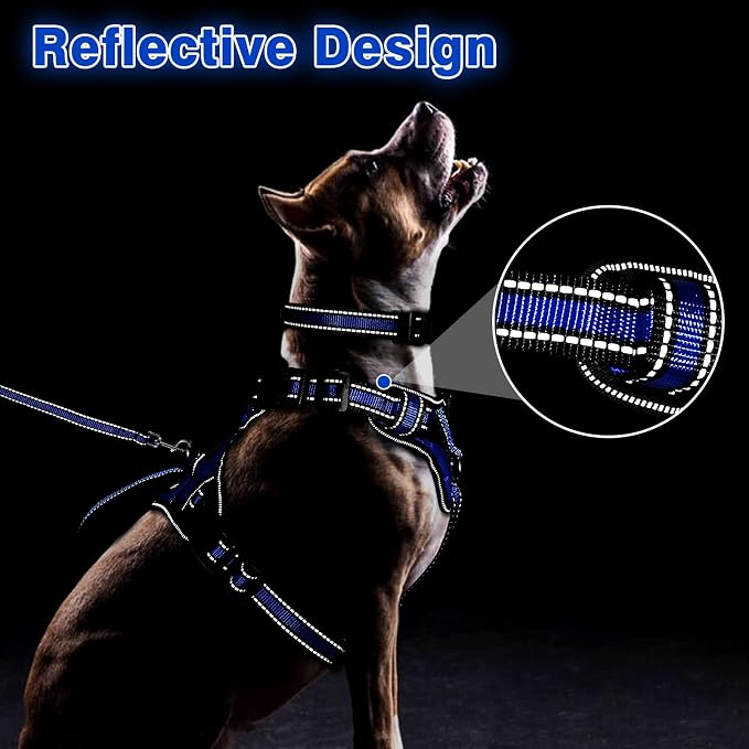 WINSEE All-in-One Reflective Dog Harness, Collar & Leash Set, No Pull with Adjustable Buckles, X-Large, Dark Blue