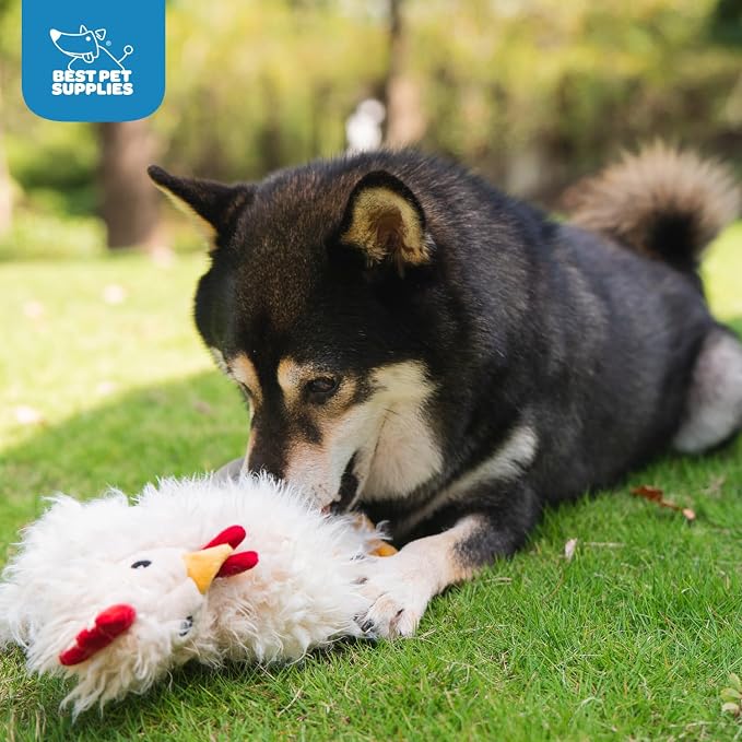 Best Pet Supplies Interactive Squeaky Dog Chew Toy, Ideal Dog Toys for Chewers, Small, Medium & Large Dogs, and Fetch Lovers - Crinkle Chicken (Brown, Beige, Wine Red), Large