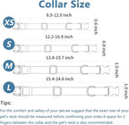 Soft Leather Dog Collar and Leash (6.6') Set - Stylish Rose Gold Heavy Duty Metal Buckle, 4 Adjustable Lengths Leash for Small Medium Large Dogs - Comfortable & Easy to Clean White S(12.2"-16.9")