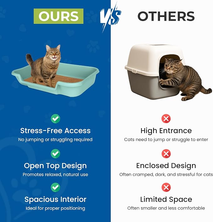 KittyGohere Senior Cat Litter Box Large with Scoop, 2 Pack Green | Open Top Low Entrance Kitty Litter Box With Long-handle Jumbo Scoop, Lightweight Low Entry Litters Box, Durable, Made in USA