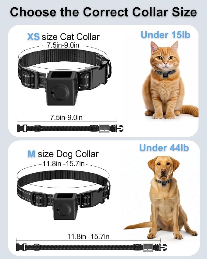 Dog Collar Camera 1080P HD Video Recording Pet POV Cam | M-Size Collar for Medium Dogs & Big Cats up to 44 lbs, No WiFi No App Action Camera, Night Vision (Micro-SD Card Required)