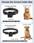 Dog Collar Camera 1080P HD Video Recording Pet POV Cam | M-Size Collar for Medium Dogs & Big Cats up to 44 lbs, No WiFi No App Action Camera, Night Vision (Micro-SD Card Required)