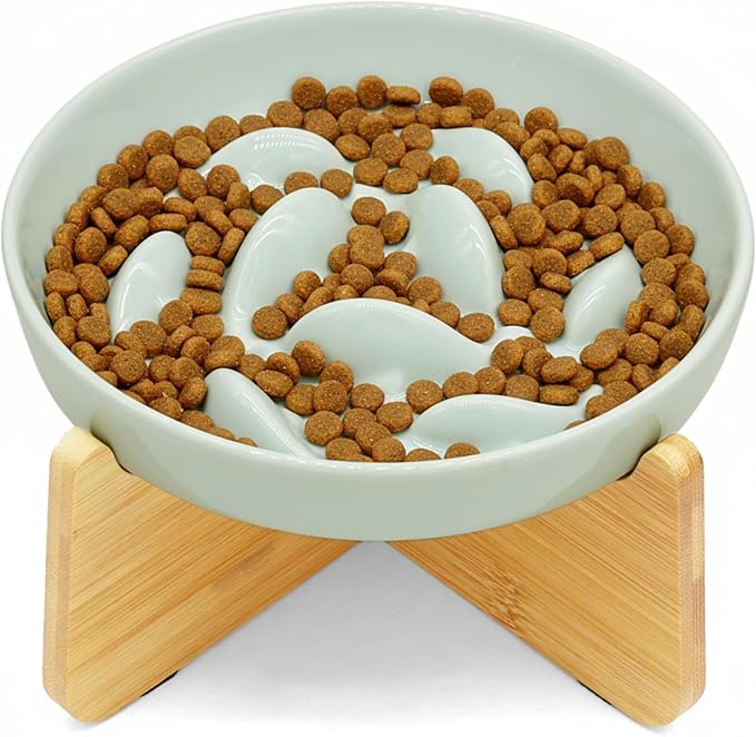 Slow Feeder Bowl for Cats and Small Dogs,Cilkus Fish Pool Design, Fun Interactive Bloat Stop Puzzle Feeder Bowl Healthy Eating Diet Made of Melamine Food Grade Material (Green Ceramic-Bamboo Stand)