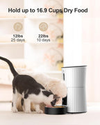 Petory Automatic Cat Feeder - 2.4G WiFi Pet Feeder for Cats and Small Dogs | 4L, Up to 10 Meals Daily, Programmable Portion Control, Dual Power Supply, 10-Second Voice Recorder