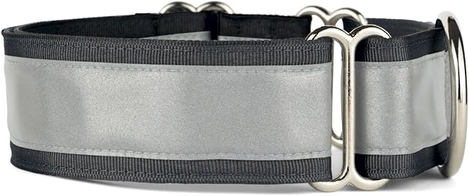 If It Barks - 1.5" Reflective Martingale Collar for Dogs - Adjustable - Made in USA - Strong, Durable, and Comfy - Ideal for Training - Suitable for Most Breeds - Medium, Black