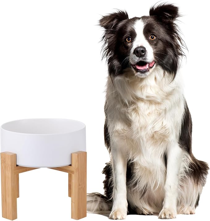 Raised Ceramic Large Dog Bowl - Heavy Weighted Dog Dish with Bamboo Stand - Elevated for Comfortable Feeding - 8.3" W x 8" H - 4.5 Cups (68 fl oz) - White