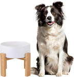 Raised Ceramic Large Dog Bowl - Heavy Weighted Dog Dish with Bamboo Stand - Elevated for Comfortable Feeding - 8.3" W x 8" H - 4.5 Cups (68 fl oz) - White