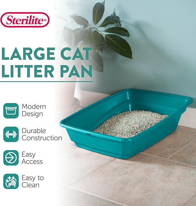 Sterilite Large Cat Litter Pan, High Sides and Low Entry for Easy Access, Plastic, Teal, 6-Pack