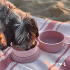 Dog Travel Bowls - Set of 2 Portable Pet Food & Water Dishes with Lid & Handle - Each Nesting Container Includes a Non-Slip Silicone Base - Microwave & Dishwasher Safe - BPA & Toxin-Free