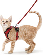 rabbitgoo Cat Harness and Leash Set, Escape Proof Vest, Red | Soft Breathable Mesh, Easy Adjustable Fit, Snap Buckles, Sturdy Clip, Reflective Strips, for Average Cats Walks, S
