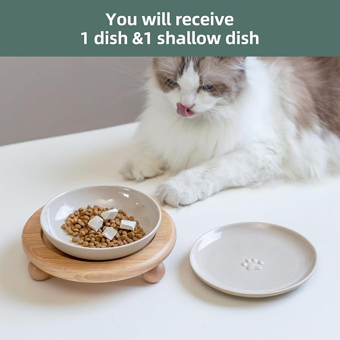 Havniva Elevated Cat Bowls, Cat Food and Water Bowl Set, Ceramic Cat Bowl | Raised Cat Food Bowls, Whisker Friendly, 5.6” Shallow Cat Dishes + 6” Wide Cat Plates, Non-Slip Wood Stand, Two Heights