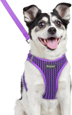 Eagloo Small Dog Harness and Leash Set, Step in Medium Small Puppy Pet Vest | Light, Soft, Breathable Air Mesh, Easy on and off with Hook & Loop, Reflective for Safe Walking, Purple, L