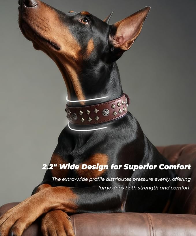 Genuine Leather Dog Collar 2.2 in Wide for Large Dogs Heavy Duty, BN-SL-S | Handcrafted,Stainless Steel Buckle and Alloy Studded,Soft Padded,Fashionable Daily Wear for Large Giant Breed,16.5-20.5 in