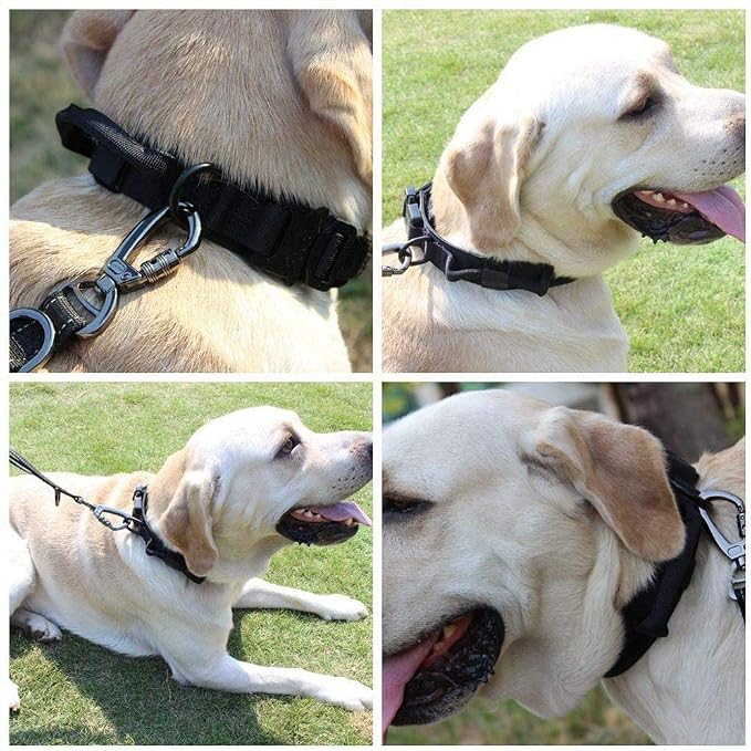 Tactical Dog Collar and Leash Set Adjustable Military Nylon Dog Collar with Control Handle and Heavy Duty Metal Buckle for Large Dogs （Black L | 1000D Heavy-Duty Nylon Fabric,Quick-Release Metal Buckle,Adjustable Fit,Soft-Padded Webbing,D-Ring,for Trai...