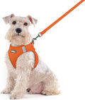 rabbitgoo Dog Harness Medium Sized and Leash Set, Step-in Puppy Pet Vest | Light, Soft, Breathable Air Mesh, Easy on and Remove with Hook & Loop, Secure Reflective for Walking, Orange XXL