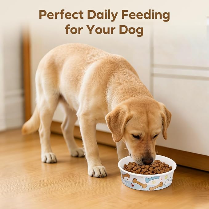 40 Pack Disposable Dog Bowls, 16 oz Paper Pet Bowls for Cats & Dogs | Disposable Bone Print Cat Food Bowls, Dry Wet Food & Wate, Small Medium Pets, Travel and Daily Feeding Bowls, Thick & Sturdy