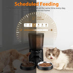 Automatic Cat Feeder and Water Dispenser Set, 5L/20 Cups Timed Cat Dry Food Dispenser, 2L Cats Water Fountain for Drinking with Filter, 10s Meal Call, 20 Portions 6 Meals Per Day