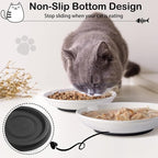 WROSWT Cat Food Bowl,Healthy Ceramic Cat Bowls for Indoor Cats,Anti Whisker Fatigue Cats Dishes Set,Shallow Wide Kitten Plates for Food and Water,Non-Slip Silicone Bottom,6 Pack