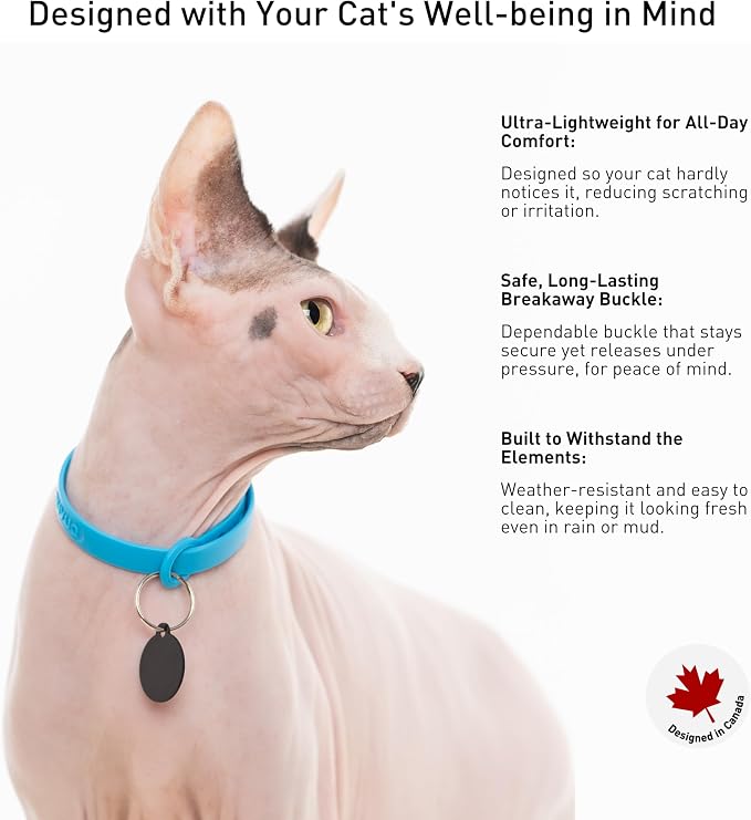 Breakaway Cat Collar - Soft, Comfortable, and Lightweight Safety Buckle Collar with ID Tag Ring for Outdoor Cats and Sensitive Skin Kittens (6 ⅞" to 10 ¼", Blue)