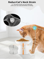 LoeJan Elevated Food and Water Bowls Set, Extra Wide and Raised Ceramic Feeder, Anti-Vomit Whisker-Free Pressure Cat Feeding Bowl for Kittens Adult Cats Small Dogs (White, Food Bowl)