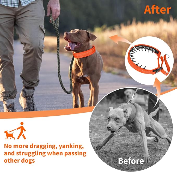 Mayerzon Martingale No Pull Collar for Medium Large Dogs | Orange, L | Patented Anti Pull Dog Collar with Buckle for Walking Training, Reflective Stitching, Neoprene Padding, Adjustable, Sturdy