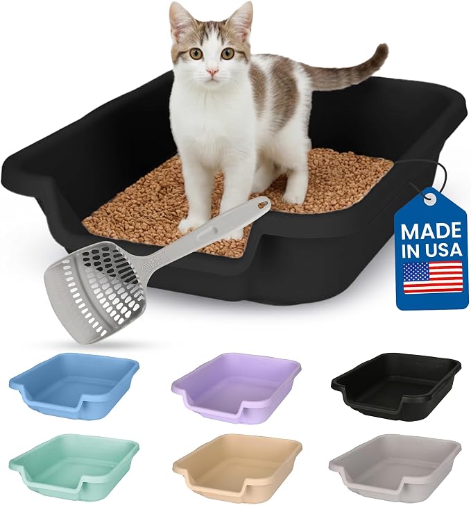 KittyGohere Senior Cat Litter Box Small with Scoop, Black | Open Top Low Entrance Kitty Litter Box With With Long-handle Jumbo Scoop, Lightweight & Durable Litters Box, Made in USA