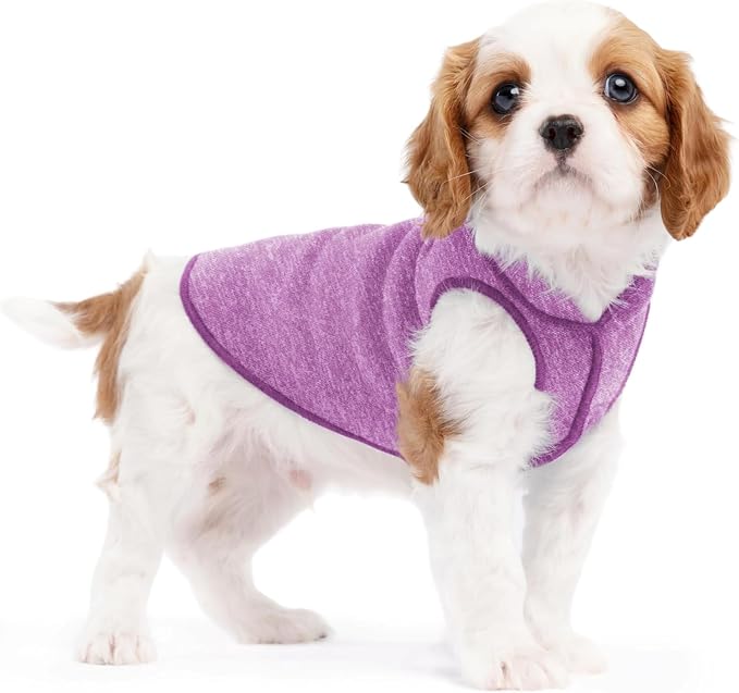 Goldpaw Dog Sun Shirt with UV Protection - Lightweight, Cooling Sun Protection Clothing for Small Dogs - Reduce Heat Absorption - Made in the USA - Machine Washable - Violet - Size 4