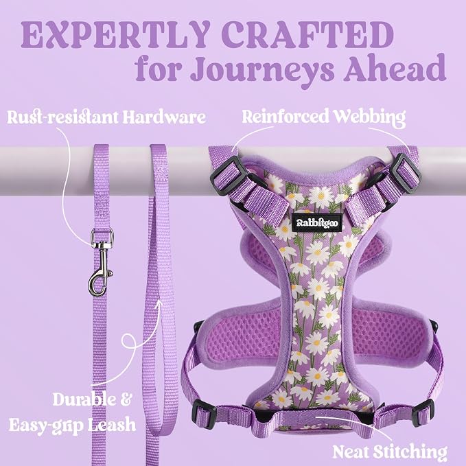 rabbitgoo Cat Harness and Leash Set, Escape Proof Vest, Purr-ple Daisy | Soft Breathable Mesh, Easy Adjustable Fit, Snap Buckles, Sturdy Clip, Reflective Strips, for Small & Average Cats Walks, Xs