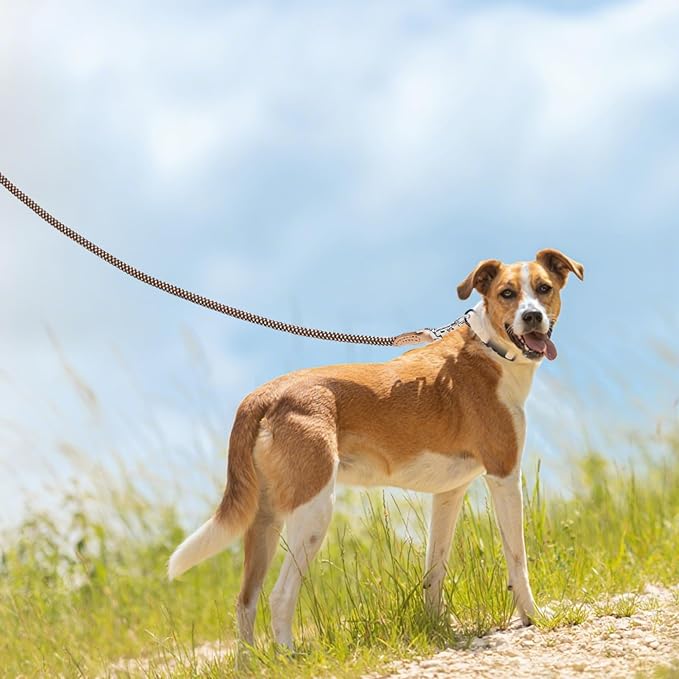 Mile High Life Dog Leash with Genuine Leather Connection, 4/5/6 FT | Rope Leash, Heavy Duty 360° Swivel Metal Clasp, for Small Medium & Large Dogs Walking (Brown, 48 Inch-1/2)