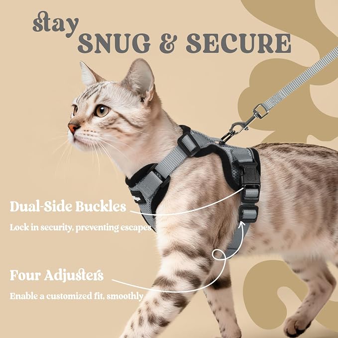 rabbitgoo Cat Harness and Leash Set, Escape Proof Vest, Grey | Soft Breathable Mesh, Easy Adjustable Fit, Snap Buckles, Sturdy Clip, Reflective Strips, for Medium to Large Cats Walks, M