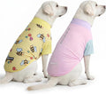 Spark Paws Sunblock Dog T-Shirt, SPF30 Protection, Lightweight Breathable Quick Dry for Dogs with Sensitive Skin - Bees & Gelato (Set of 2) - Size 3XL