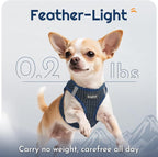 Eagloo Small Dog Harness and Leash Set, Step in Small Sized Puppy Pet Vest | Light, Soft, Breathable Air Mesh, Easy on and off with Hook & Loop, Reflective for Safe Walking, Navy Blue, S