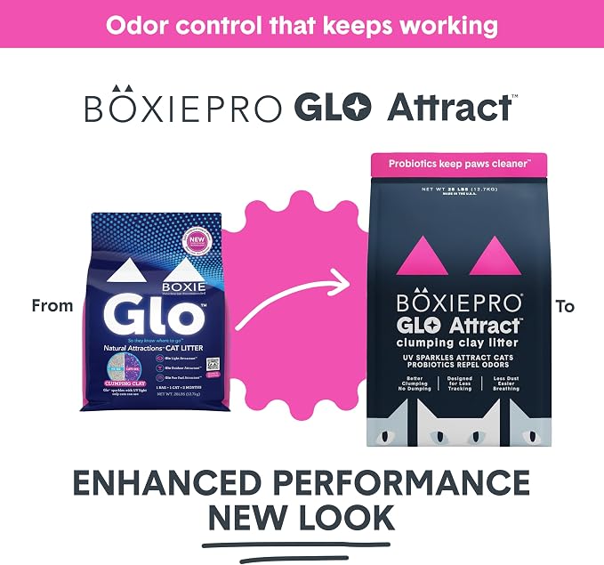 Boxie Glo Attract Clumping Cat Litter 40+ Day Odor Control Dust Free 28 lb