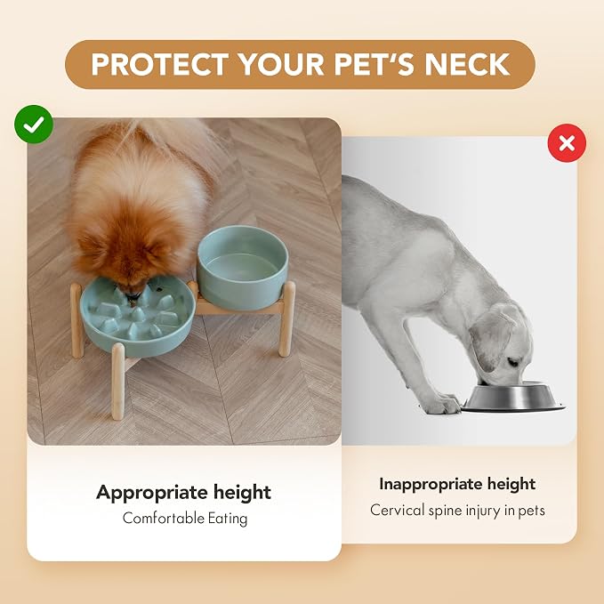 Havniva Elevated Slow Feeder Dog Bowls, Ceramic Dog Bowl Slow Feeder Set | 1.2 Cups Raised Slow Feeding Bowl for Small Breed, 6.1” Dog Water Bowl with Wooden Stand, Puzzle Dog Slow Feeder, Non-slip