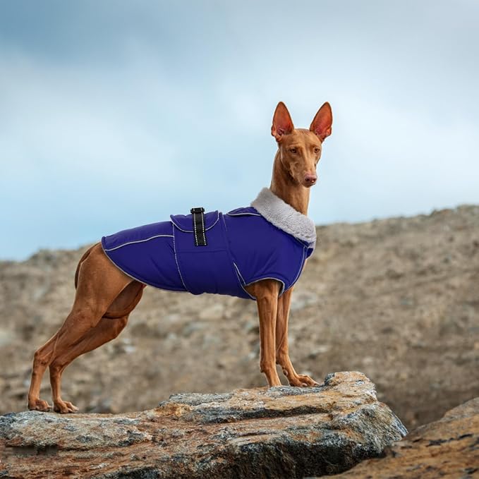 Lelepet Dog Coat Waterproof Dog Jacket Fleece Vest with Adjustable Buckle | Reflective Pet Winter Coat Turtleneck Snowsuit Windproof Cold Weather Coats for Small Medium Large Dogs,Leash Hole,Blue, XL