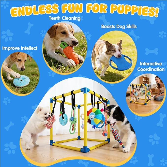 Puppy-Play-Gym for Small Dogs with 10 Dog Toys,19.5" Indoor-Jungle-Play-Gym | Removable Dog Enrichment Playground Interactive Dog Squeaky Toys Puppy Training Center, Adjustable PVC Frame for Puppies Cat
