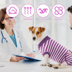 2 Packs Breathable Cotton Dog Recovery Suit for After Neuter Spay Abdominal Wounds Protector, Professional Anti-Licking Onesies for Male Female Pets Surgery Bandages, S Purple & Pink Stripes