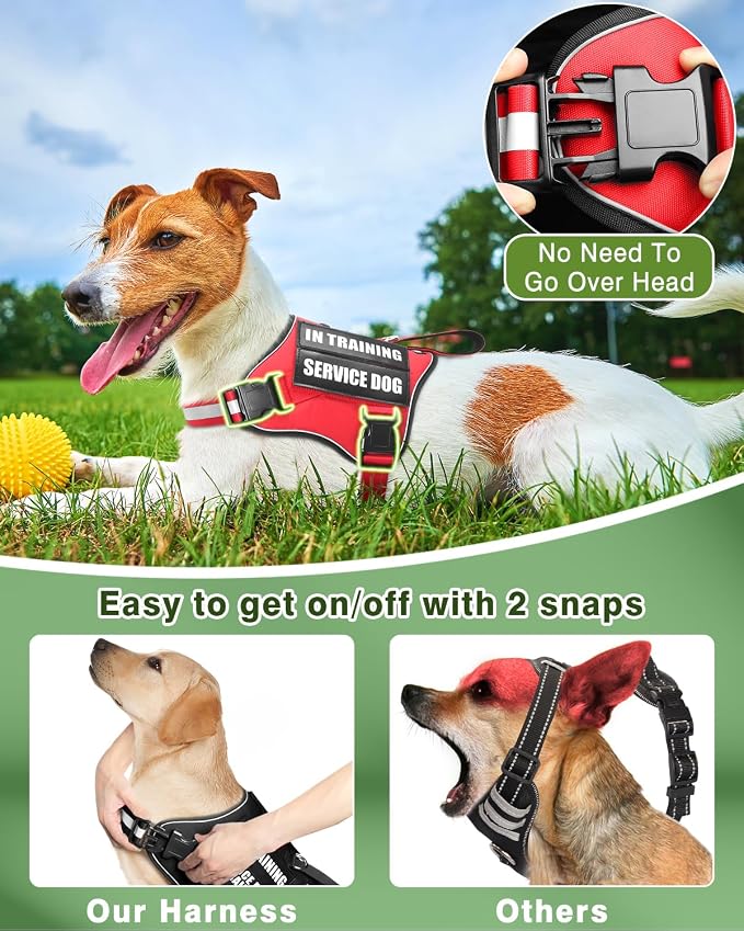 Service Dog Vest Harness and Leash Set+10 Patches Red XS | Adjustable Reflective Do Not Pet Emotional Support Dog Vest with 2 Soft Padded Handle,MOLLE,for Everyday Training Hiking