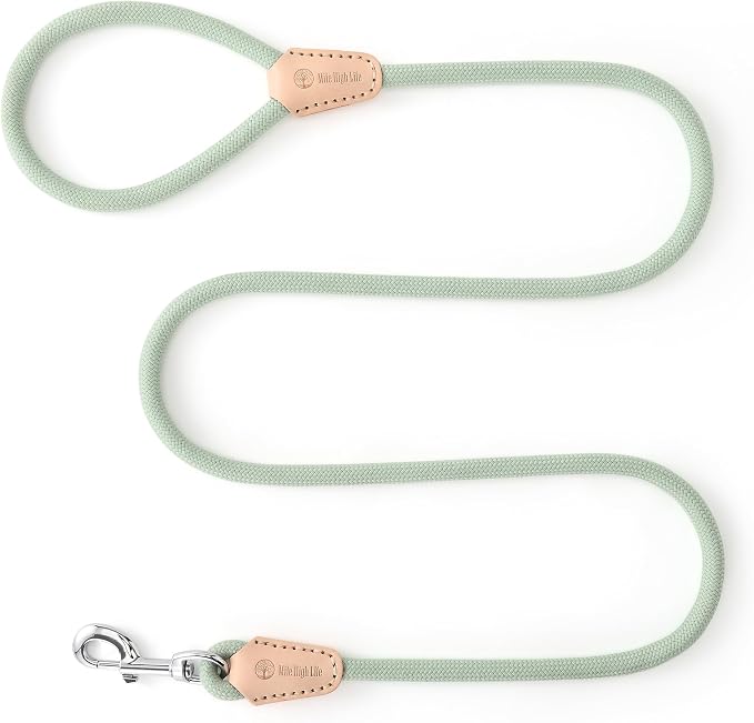 Mile High Life Green Dog Leash with Genuine Leather Connection, 4/5/6 FT | Rope Leash, Heavy Duty 360° Swivel Metal Clasp, for Small Medium & Large Dogs (Cream Green, 48 Inch)