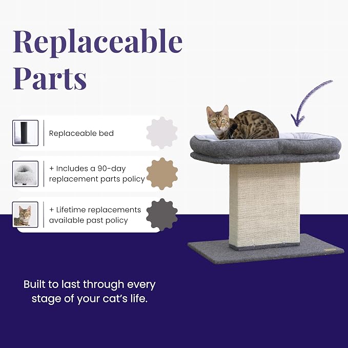 Catry Cat Perch with Washable Replaceable Bed & Wide Sisal Scratching Post | Cat Tree with Washable Replaceable Bed for Large Cats, Thick Sisal Scratching Post, Sturdy Cat Tower, Easy Assembly Cat Tree