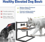 Elevated Dog Bowls for Medium and Small Dogs, 5 Adjustable Height, Raised Dog Bowl Stand with 2 Stainless Steel Dogs Food Bowls, Metal Strong Pet Bowls Elevated