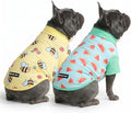 Spark Paws Sunblock Dog T-Shirt, SPF30 Protection, Lightweight Breathable Quick Dry for Dogs with Sensitive Skin - Bees & Watermelon (Set of 2) - Size XL